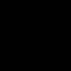 Meet your Posher, Leilani